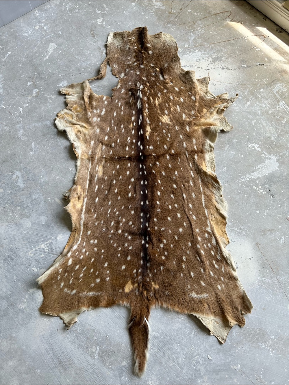 Real Axis Deer Hide Tanned Pelt with Tail 70” x 34”